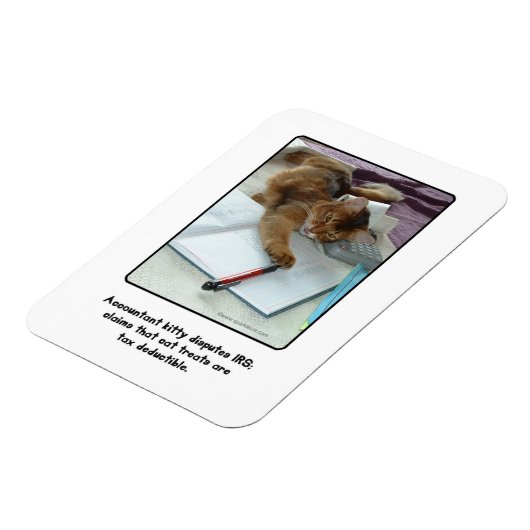 Flexible Comptable Kitty Magnet (Côté Gauche)