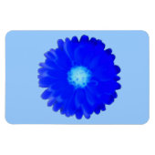 Flexible Cool Blue Marigold Premium Magnet (Horizontal)