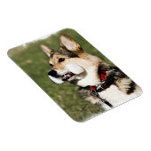 Flexible Corgi Magnet (Côté Droit)