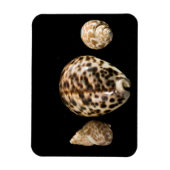 Flexible Cowrie Cones 2 Vinyl Magnet (Vertical)