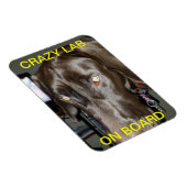 Flexible Crazy Lab Sur Le Magnet De Bord (Côté Droit)