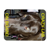 Flexible Crazy Lab Sur Le Magnet De Bord (Horizontal)