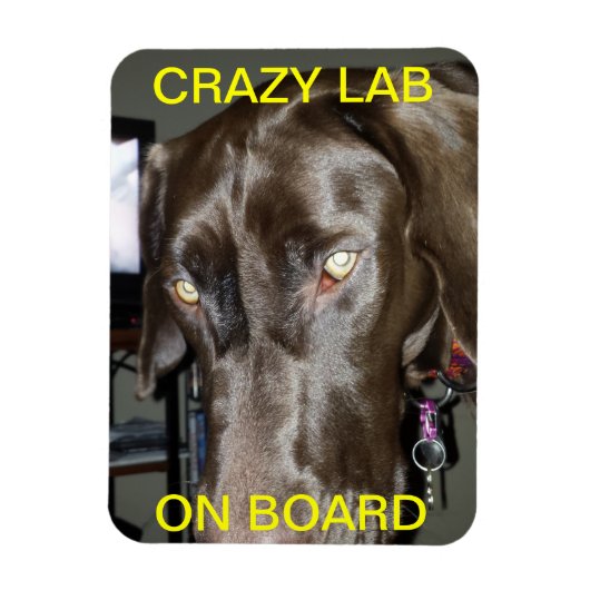 Flexible Crazy Lab Sur Le Magnet De Bord (Vertical)