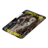 Flexible Crazy Lab Sur Le Magnet De Bord (Côté Gauche)