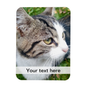 Flexible Custom photo magnet Upload your image here