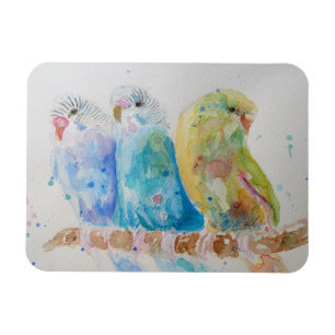 Flexible Cute Budgie bougie oiseau Aquarelle Art Magnet