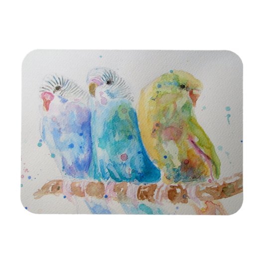 Flexible Cute Budgie bougie oiseau Aquarelle Art Magnet (Horizontal)