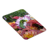 Flexible Cute Caterpillar sur Bed of Mums Magnet (Côté Droit)