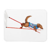 Flexible Cute dachshund walking on stilts magnet (Horizontal)