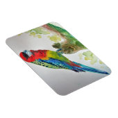 Flexible Cute Rosella Parrois oiseau Aquarelle Magnet d'art (Côté Droit)