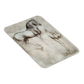 Flexible Da Vinci Horse Magnet (Côté Droit)