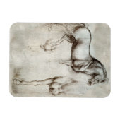 Flexible Da Vinci Horse Magnet (Horizontal)
