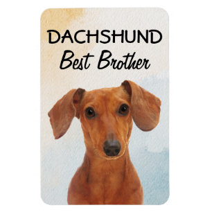 Flexible Dachshund Best Brother Magnet