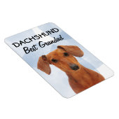 Flexible Dachshund Best Grand Magnet (Côté Droit)