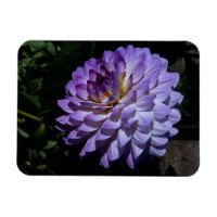 Dahlia Bea Paradise #1 Magnet