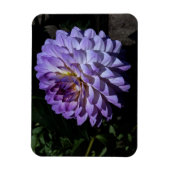 Flexible Dahlia Bea Paradise #1 Magnet (Vertical)