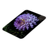 Flexible Dahlia Bea Paradise #1 Magnet (Côté Gauche)