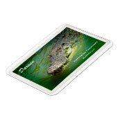 Flexible Darwin Territoire du Nord - Magnet de crocodile (Côté Gauche)