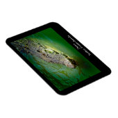 Flexible Darwin Territoire du Nord - Magnet de crocodile (Côté Droit)