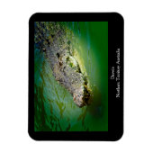 Flexible Darwin Territoire du Nord - Magnet de crocodile (Vertical)