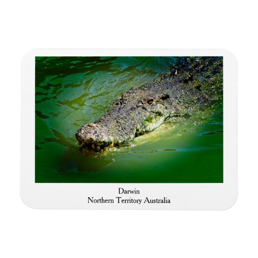 Flexible Darwin Territoire du Nord - Magnet de crocodile (Horizontal)