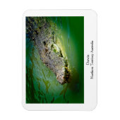 Flexible Darwin Territoire du Nord - Magnet de crocodile (Vertical)