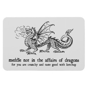 Flexible Dragon Magnet