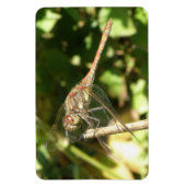 Flexible Dragonfly on the Twig Flexi Magnet (Vertical)
