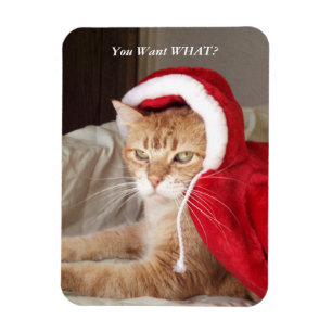 Flexible Drôle Grumpy Chat Christmas Magnet Humoristique