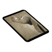 Flexible Écureuil affamé Horatio Magnet Premium (Côté Droit)