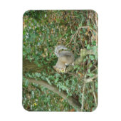Flexible Écureuil avec Acorn Premium Magnet (Vertical)