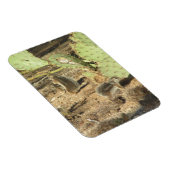 Flexible Écureuils du désert dans Tucson Magnet (Côté Droit)