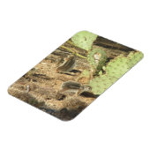 Flexible Écureuils du désert dans Tucson Magnet (Côté Gauche)