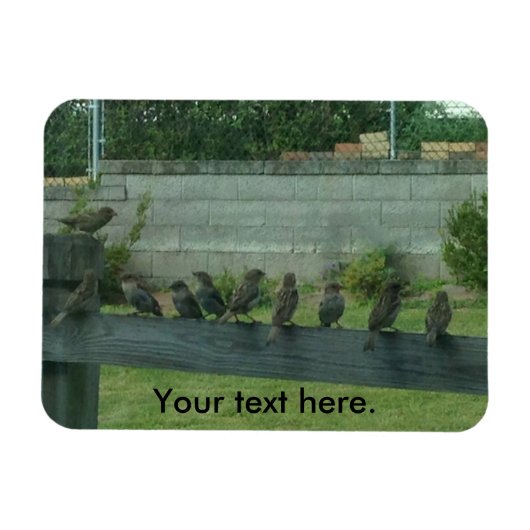 Flexible Éperons Oiseaux assis sur un Magnet ferroviaire (Horizontal)