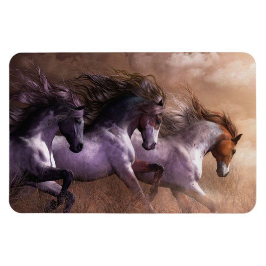 Flexible Exécuter vers Freedom Premium Flexi Magnet (Horizontal)