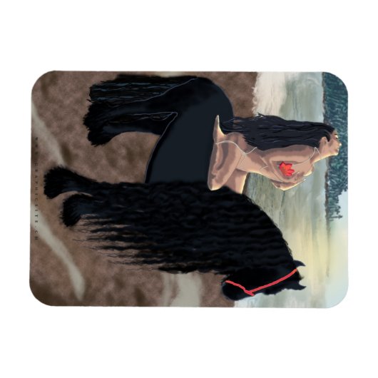 Flexible Exécution - Magnet (Horizontal)