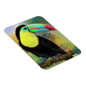 Flexible Exotic Tropical Toco Toucan Bird Magnet Cadeau (Côté Droit)
