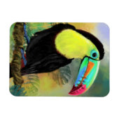 Flexible Exotic Tropical Toco Toucan Bird Magnet Cadeau (Horizontal)