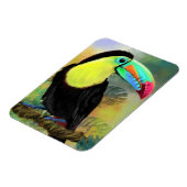 Flexible Exotic Tropical Toco Toucan Bird Magnet Cadeau (Côté Gauche)