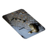 Flexible Faites Place Aux Colliers ! Magnet (Côté Droit)