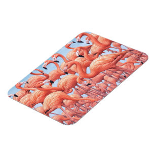 Flexible Flamants, Magnet