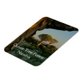 Flexible Forêt de quiver, Magnet de Namibie (Côté Gauche)
