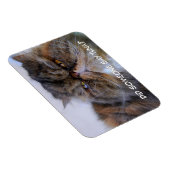 Flexible Funny Calico Persian Chat Magnet Premium (Côté Droit)