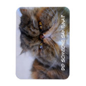 Flexible Funny Calico Persian Chat Magnet Premium (Vertical)