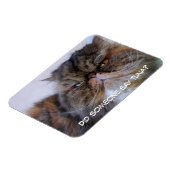 Flexible Funny Calico Persian Chat Magnet Premium (Côté Gauche)