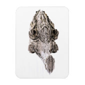 Flexible Gator Magnet (Vertical)