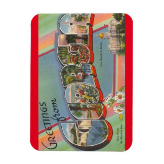 Flexible Georgia Magnet