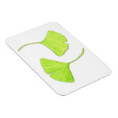 Flexible Ginkgo Feuille Flexi Magnet (Côté Droit)