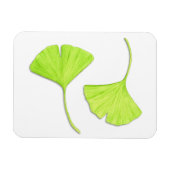 Flexible Ginkgo Feuille Flexi Magnet (Horizontal)
