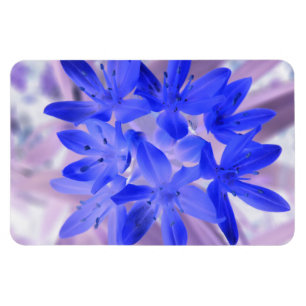 Flexible Gloire de la neige Choquant Blue Premium Magnet